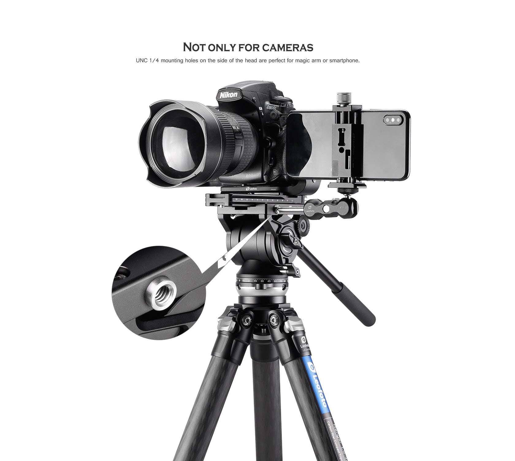 Leofoto BV-10M Fluid Video Head - Manfrotto Standard