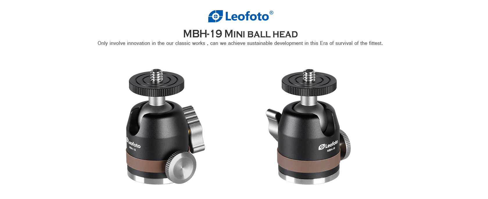 Leofoto MT-03+MBH-19 Spider Folding Table Mini Tripod & Ballhead w/Bag