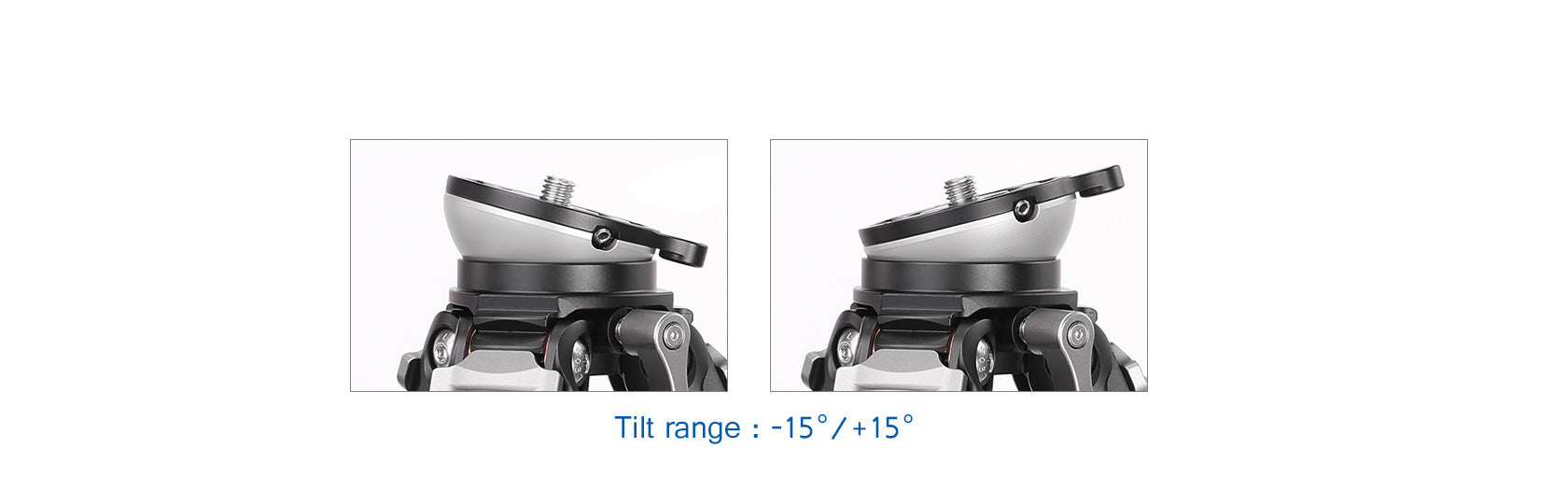 Leofoto LS-284CEX X Version Tripod with Integrated Leveling Head + BV-10 Fluid Head Set