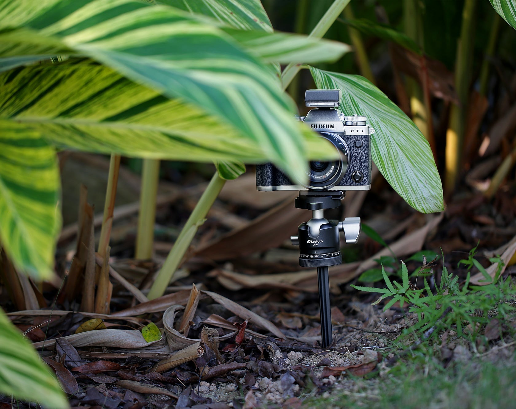 Leofoto A200+P50 8" Ground Mount Spike with 1/4" Screw