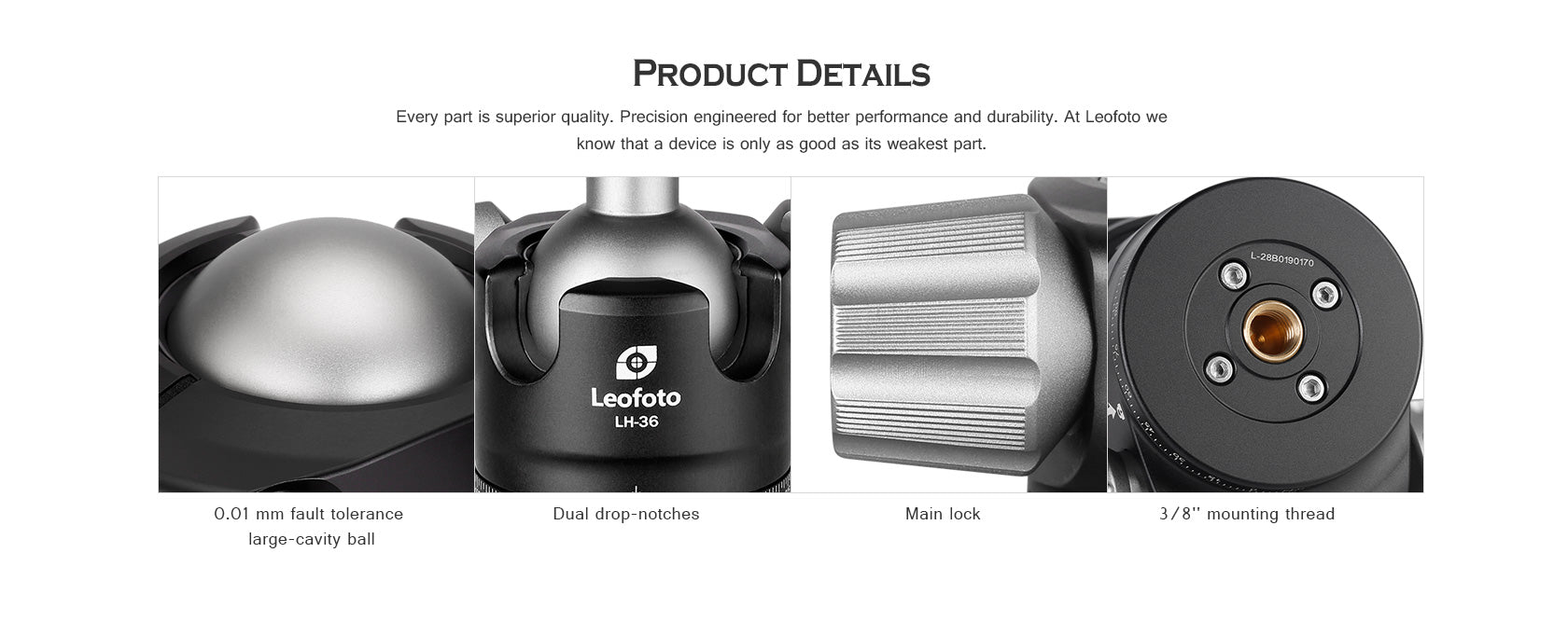 Leofoto LS-284C X Version Ranger Series Tripod + Ballhead Set